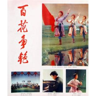 WBD9066【独家2K修复版】百花争艳‎ (1976)