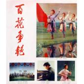 WBD9066【独家2K修复版】百花争艳‎ (1976)