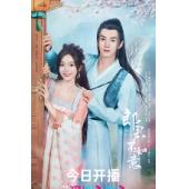 LG-G2960 太子妃升职记+续集：郎君不如意（2023） 
