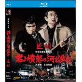 W9103 追捕 君よ憤怒の河を渉れ (1976)	