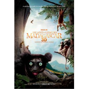 LBD-3D-047 狐猴之岛-马达加斯加