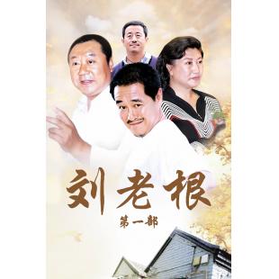 W6473 刘老根1-4	