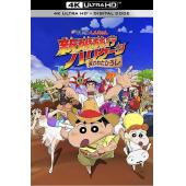 SJ-6307	蜡笔小新：新婚旅行飓风之遗失的野原广志