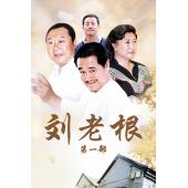 W6473 刘老根1-4	