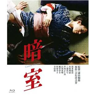 LJ-2221A 暗室 