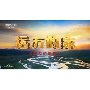 W0852 远方的家：家乡的味道	
