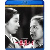 LJ-2565A 最美 