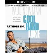 DT-81274 铁窗喋血