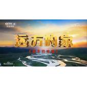 W0852 远方的家：家乡的味道	