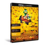 SJ-46098A 飞鸭向前冲