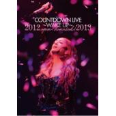 DT-81240 滨崎步跨年演唱会 COUNTDOWN LIVE 2012-2013 