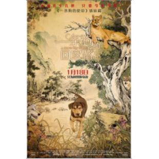 TM-R0084 一条狗的回家路