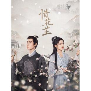 LG-G3837 惜花芷(2024)【TV全集+幕后精彩花絮】