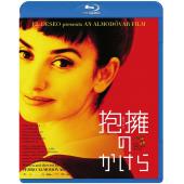 4GBD259482 破碎的拥抱