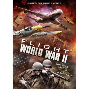 TM-3D-2417 空中世界二战