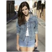 W3741 毒帮家族(2024)	