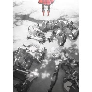 LG-K2445 尼尔：自动人形 第1-2季 
