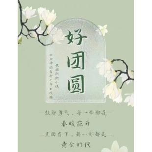 LG-G4597 好团圆（2024）【TV全集+幕后花絮】 
