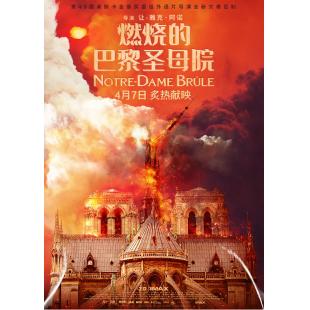 SJ-10138 燃烧的巴黎圣母院 