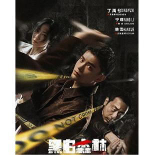 LG-G4789 黑白森林(2024)【TV全集+幕后花絮】