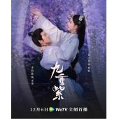 LG-G4788 九重紫(2024)【TV全集+幕后花絮】