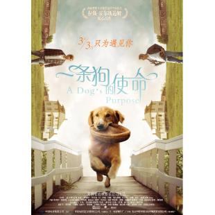 LJ-1110A 一条狗的使命1-2