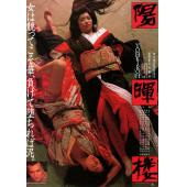 NF-00994 阳晖楼 