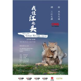 W0958 我住江之头‎(2022)