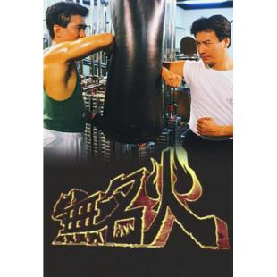 W7384 无名火【石修/周海媚】(1988)	