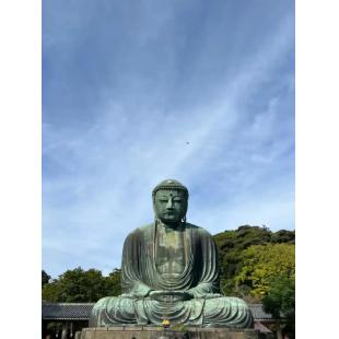 4GBD25D9442 镰仓百景--巡迴寺社和路、季节古都之旅