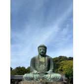4GBD25D9442 镰仓百景--巡迴寺社和路、季节古都之旅