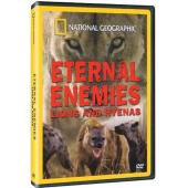 DT-91425X 国家地理：永恒的敌人 狮子和鬣狗 