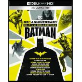 4GBD256321 蝙蝠侠：突袭阿卡姆