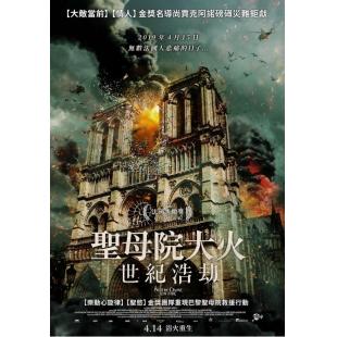 SJ-10138 燃烧的巴黎圣母院 