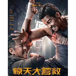 SJ-17225 惊天大营救 