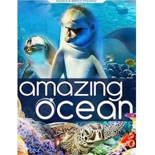 LBD-U0954 神奇的海洋 