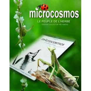 LBD-U0746 微观世界    