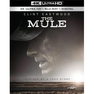 SJ-3853B 毒行侠（第二版）