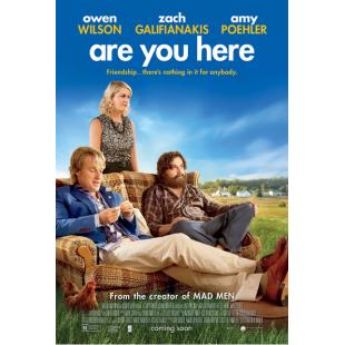 4GBD256450 你在这儿