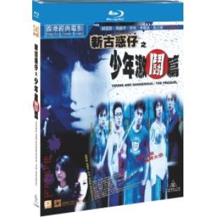 SJ-12582A 新古惑仔之少年激斗篇 