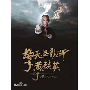SJ-2954A 擎天无影脚黄麒英 