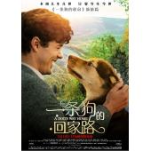 SJ-3872A 一条狗的回家路 