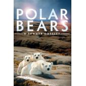 LBD-U0959 北极熊 一个夏天的奥德赛