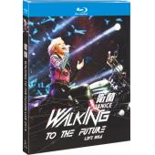 SJ-9647M 卫兰Walking To The Future Live 2014