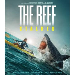 LJ-4659A 暗礁狂鲨 