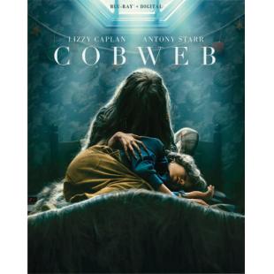 LJ-5658A 蛛网男孩