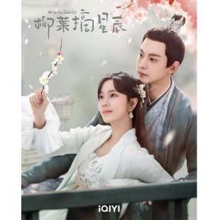 LG-G4118 柳叶摘星辰(2024)【TV全集+幕后花絮】