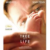 4GBD258297 生命之树