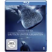 SJ-8253	海底奇观：巨型海洋生物间的宁静