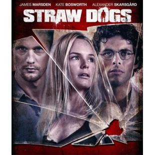 4GBD258669B 稻草狗